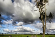 足球直播在线直播观看免费-英国乒乓球队绝杀法国队，樊振东制霸全场——一场酣畅淋漓的乒乓盛事