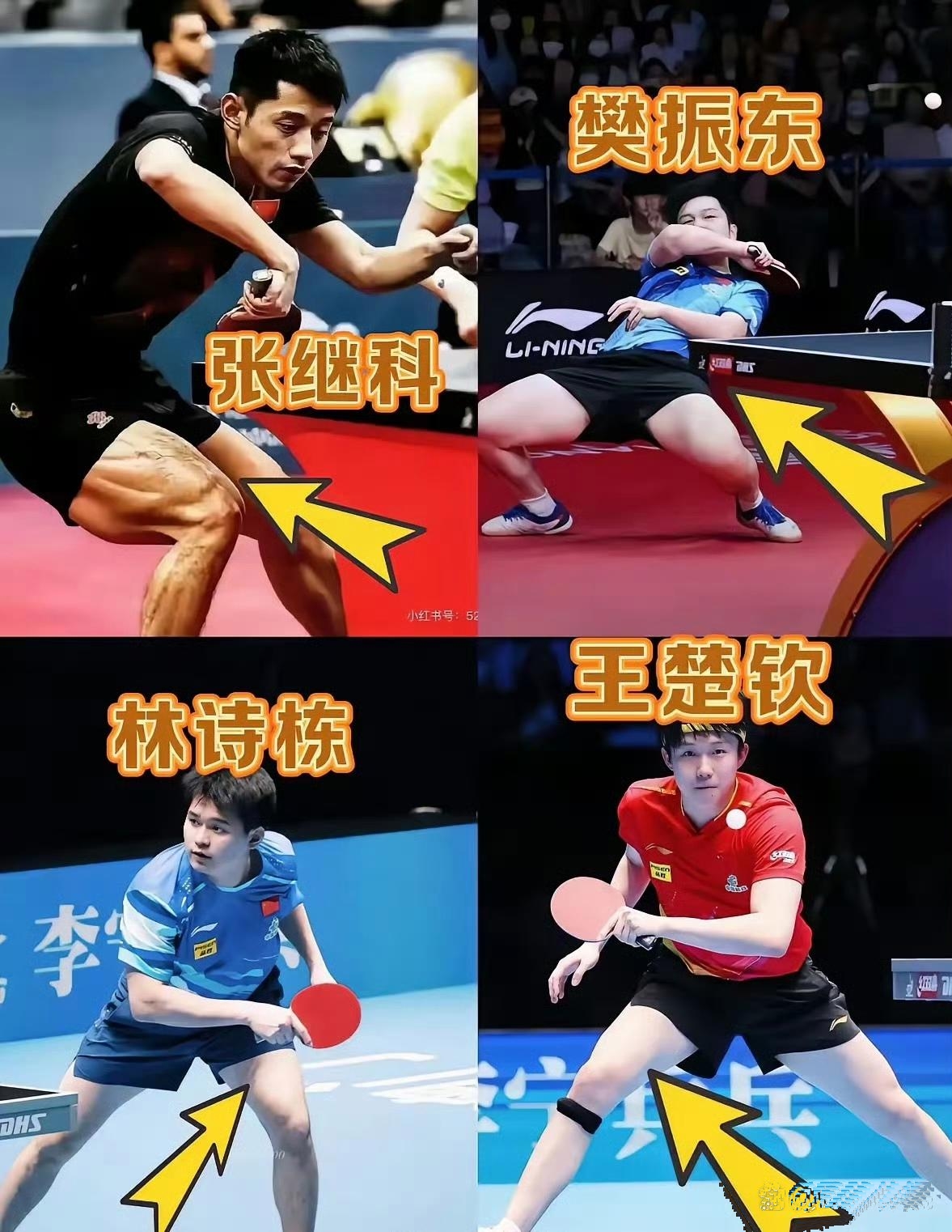 比利时乒乓球队险胜德国乒乓球队，张继科送出助攻的简单介绍