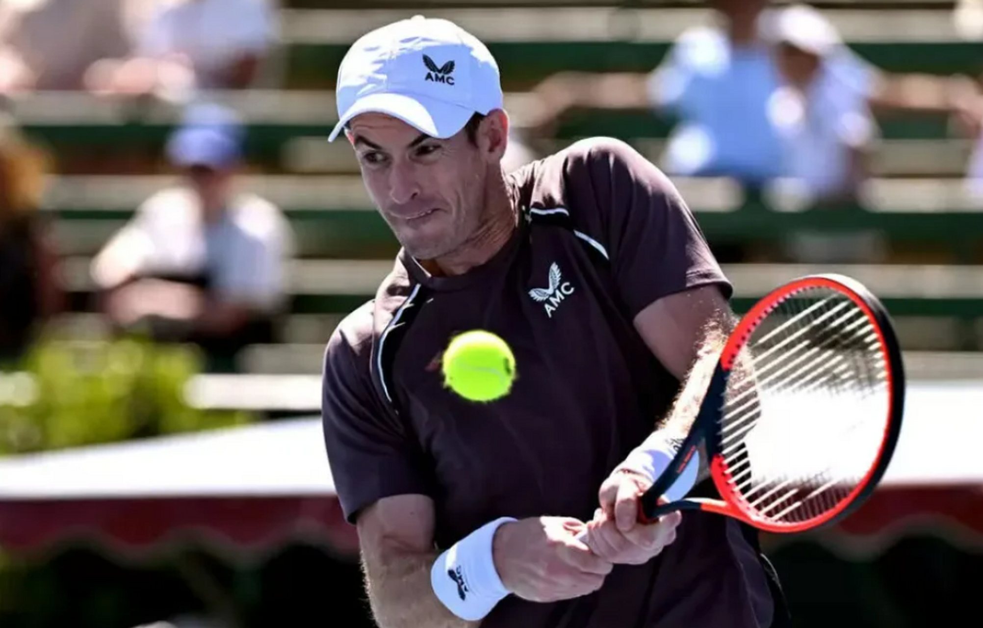 蒙特卡洛大师赛绝杀ATP总决赛，穆雷高光表现